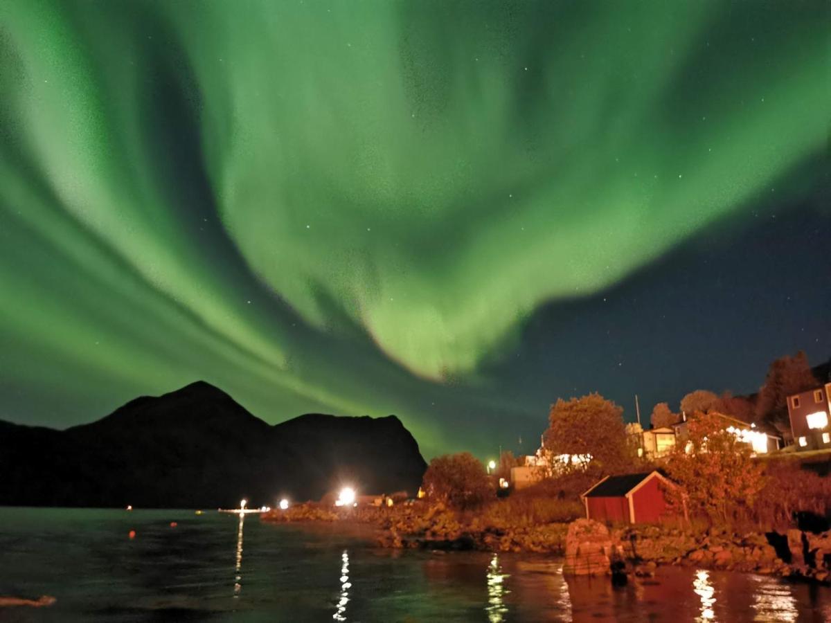 Waterfront Senja Lägenhet Torsken Exteriör bild