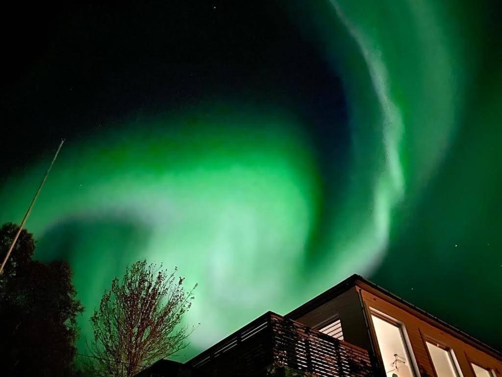Waterfront Senja Lägenhet Torsken Exteriör bild