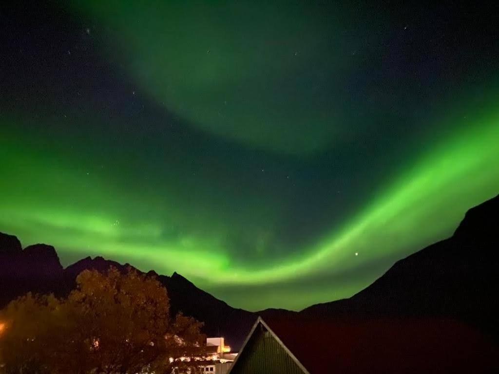 Waterfront Senja Lägenhet Torsken Exteriör bild