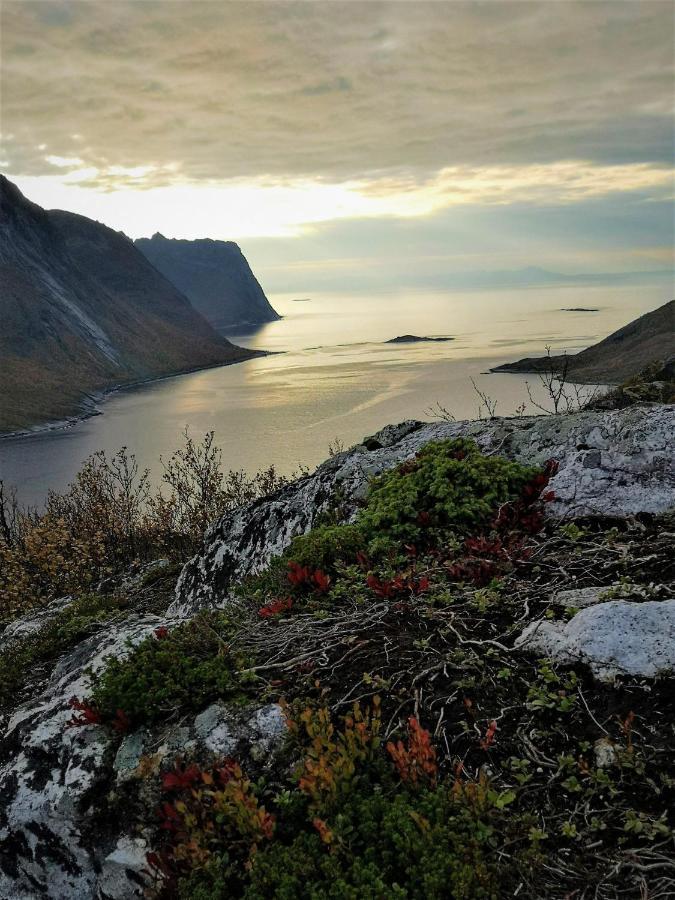 Waterfront Senja Lägenhet Torsken Exteriör bild