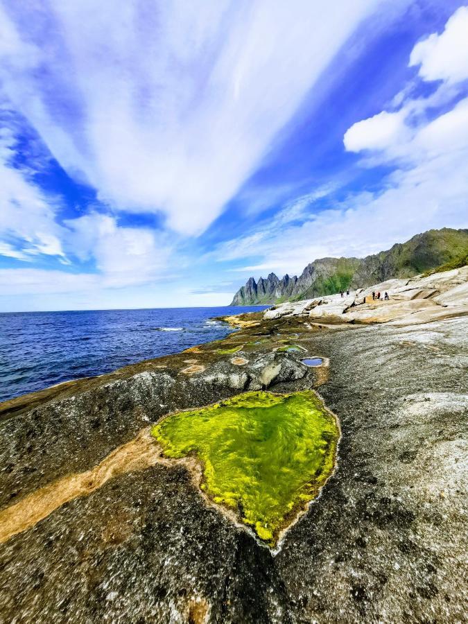 Waterfront Senja Lägenhet Torsken Exteriör bild