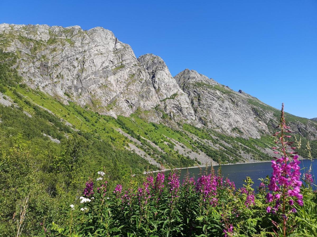 Waterfront Senja Lägenhet Torsken Exteriör bild
