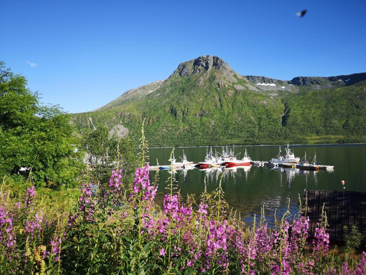 Waterfront Senja Lägenhet Torsken Exteriör bild