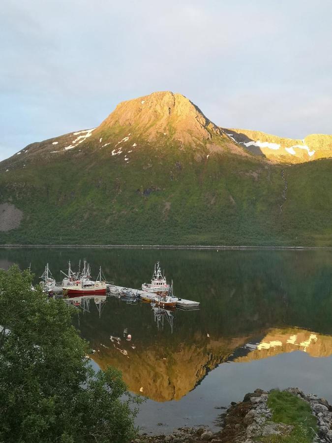 Waterfront Senja Lägenhet Torsken Exteriör bild