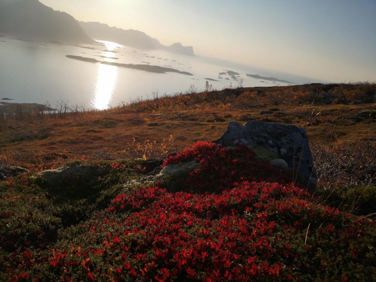 Waterfront Senja Lägenhet Torsken Exteriör bild