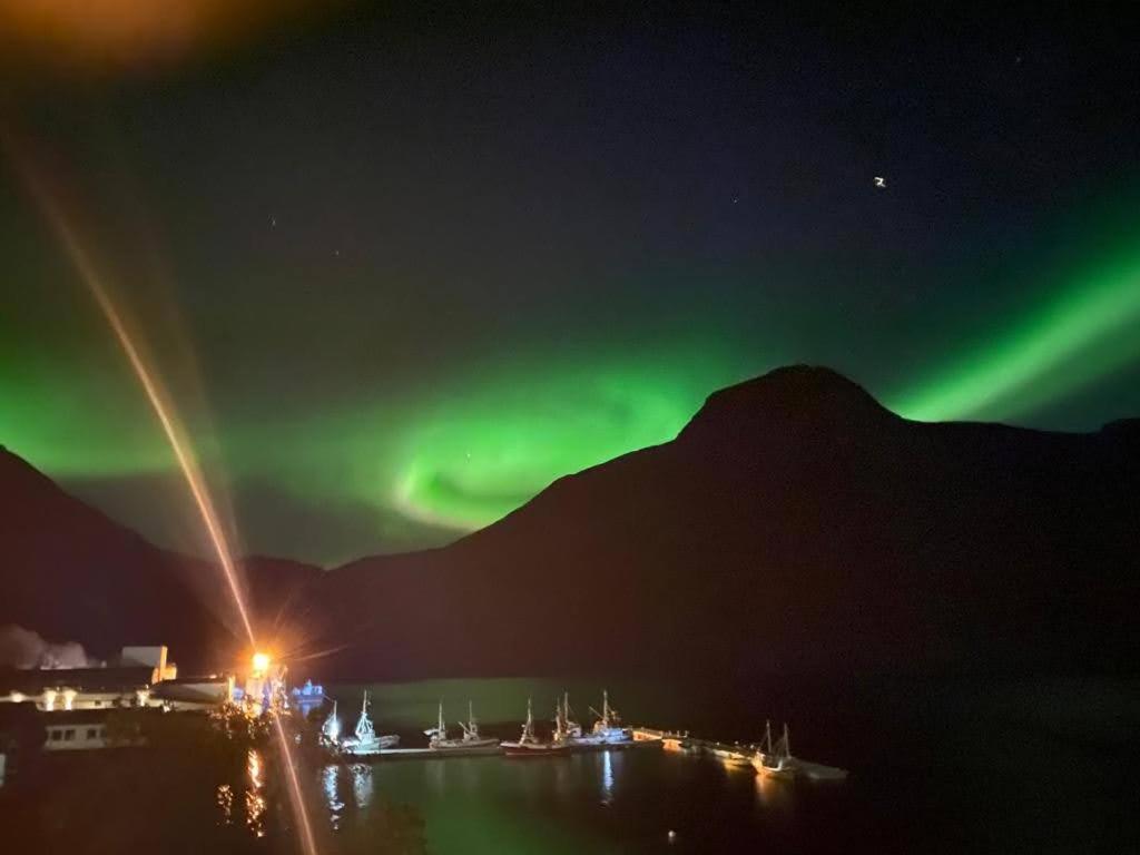 Waterfront Senja Lägenhet Torsken Exteriör bild