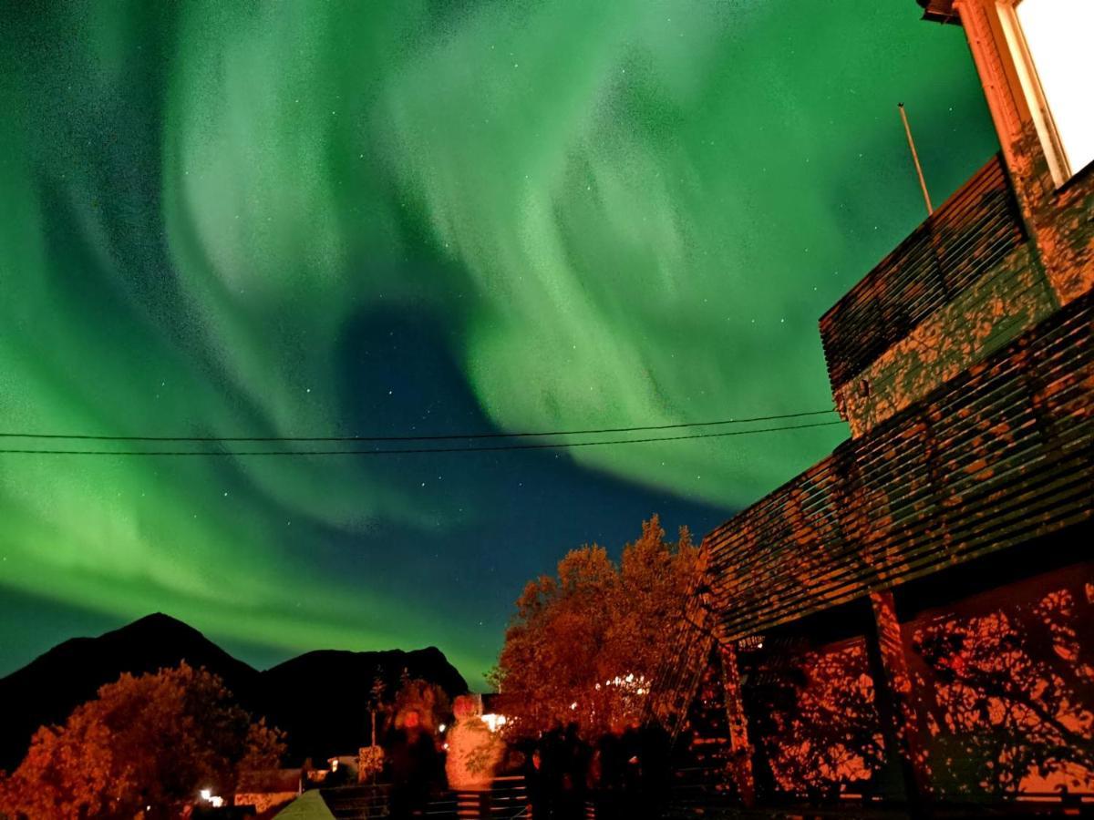 Waterfront Senja Lägenhet Torsken Exteriör bild