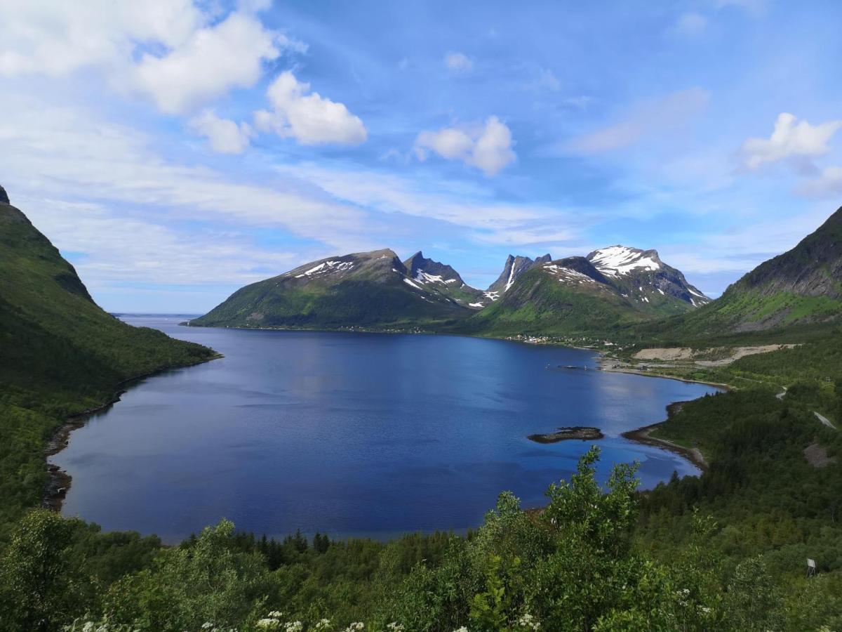 Waterfront Senja Lägenhet Torsken Exteriör bild